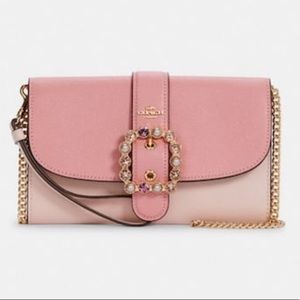 Coach Gemma Sleeping Beauty Crossbody Clutch
